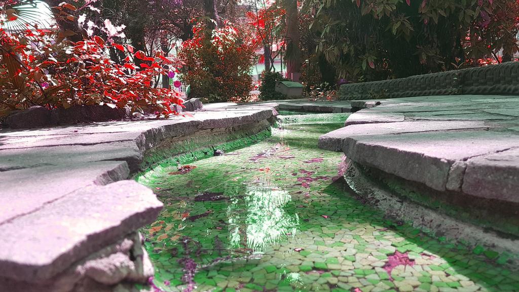 Hotel Terme Villa Piave Abano Terme Dış mekan fotoğraf