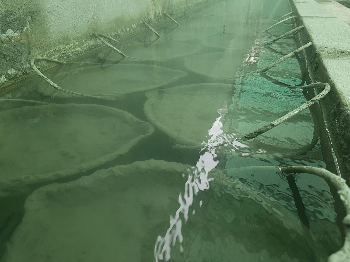 Hotel Terme Villa Piave Abano Terme Dış mekan fotoğraf