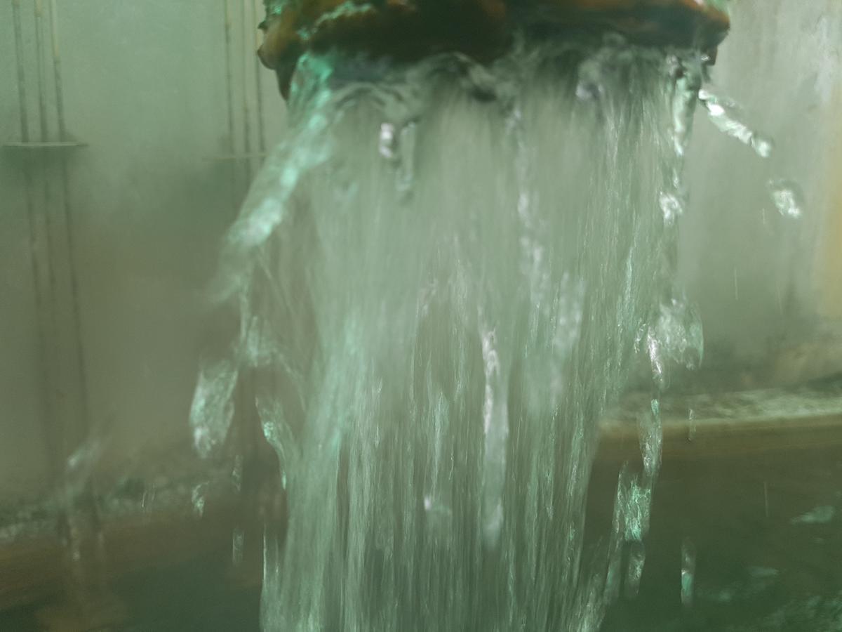 Hotel Terme Villa Piave Abano Terme Dış mekan fotoğraf